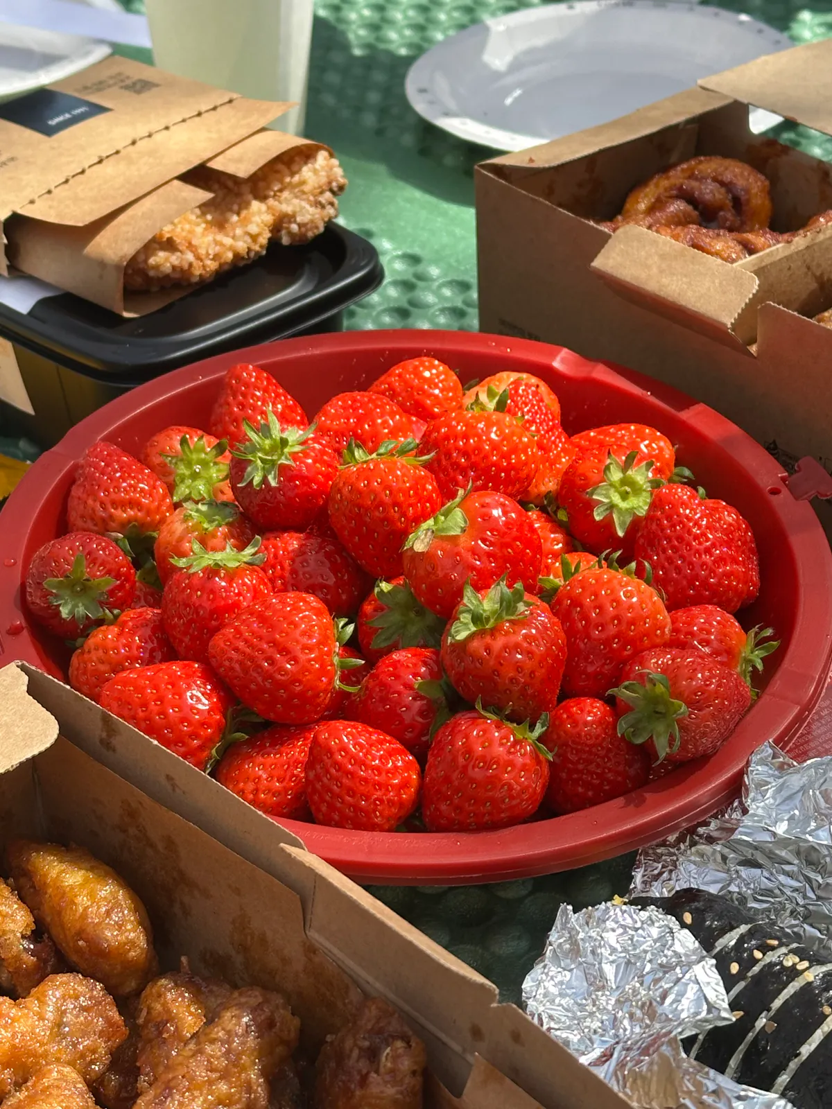 2026 Lab Picnic 3